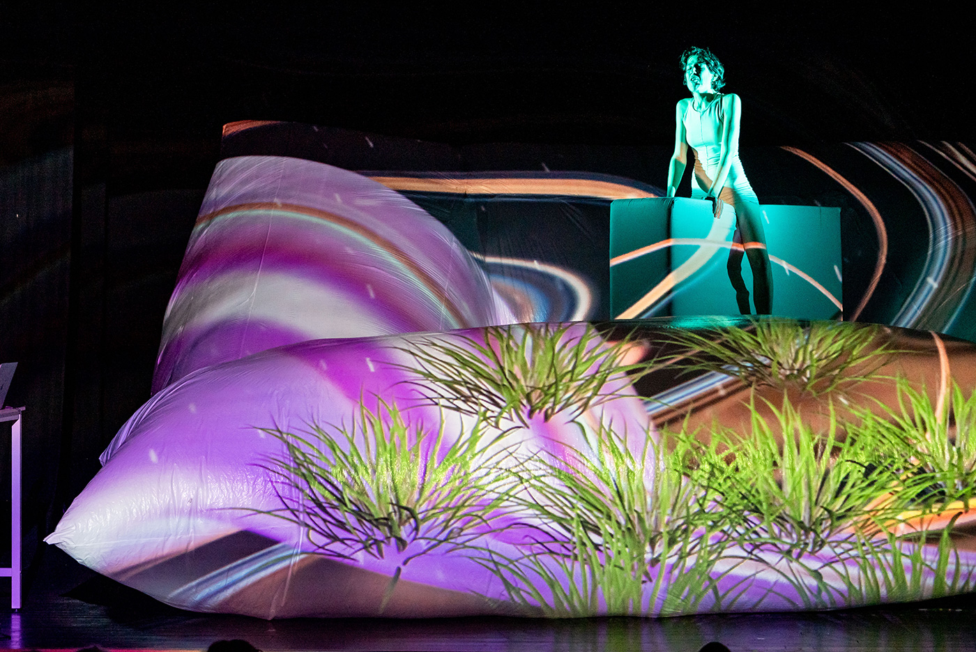 hermafrodites_DSC7921