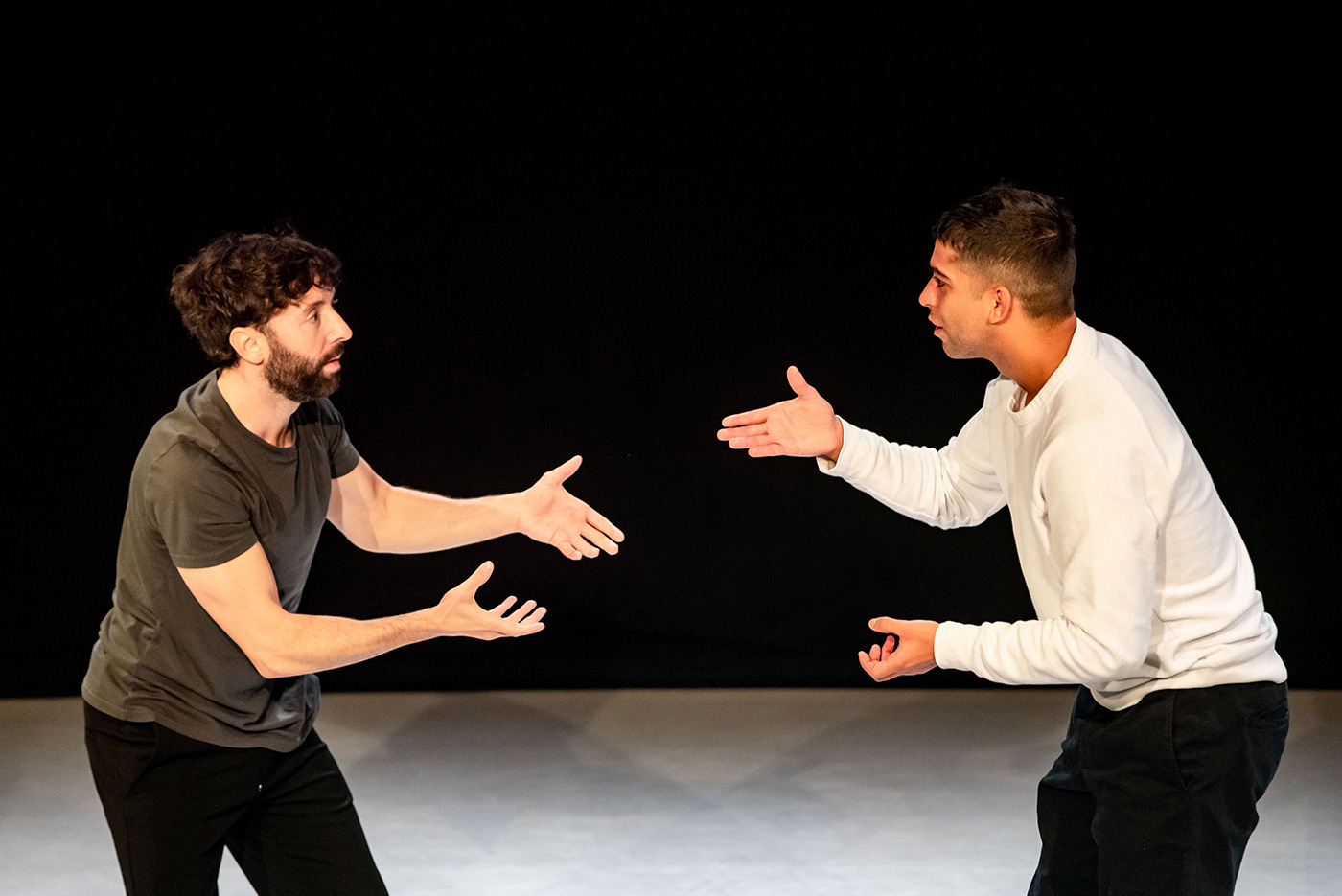 pols-de-diamant_DSC1110