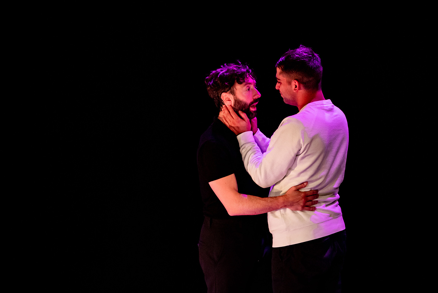 pols-de-diamant_DSC1247